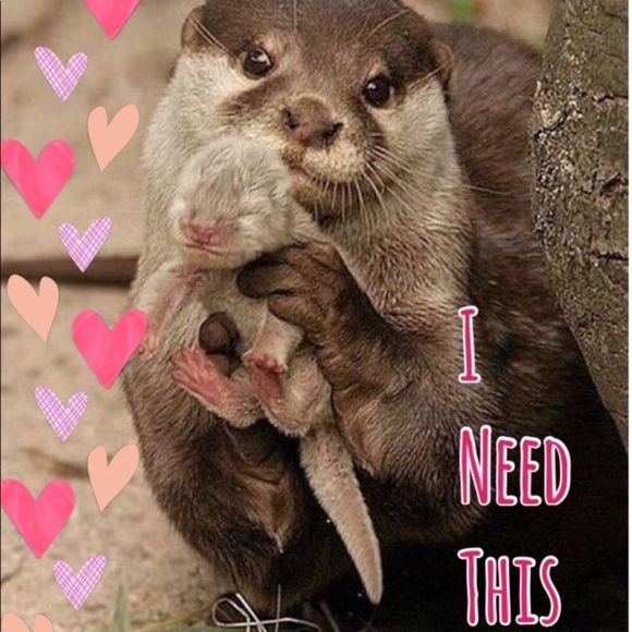 New! Harry Potter Hogwarts Acrylic Stud Earrings - Picture 13 of 14